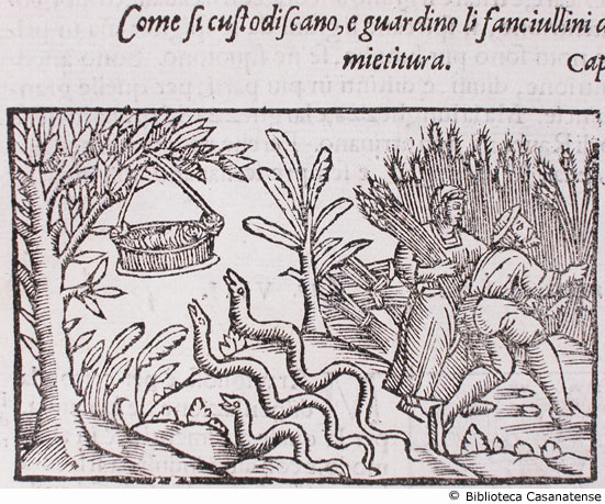 come si custodiscano e guardino li fanciullini da li serpenti, al tempo de la mietitura, c. 156 v.
