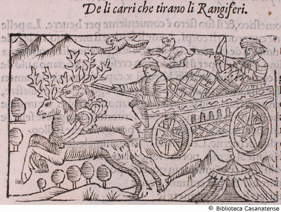 de li carri che tirano li Rangiferi, c. 213 (prima figura)