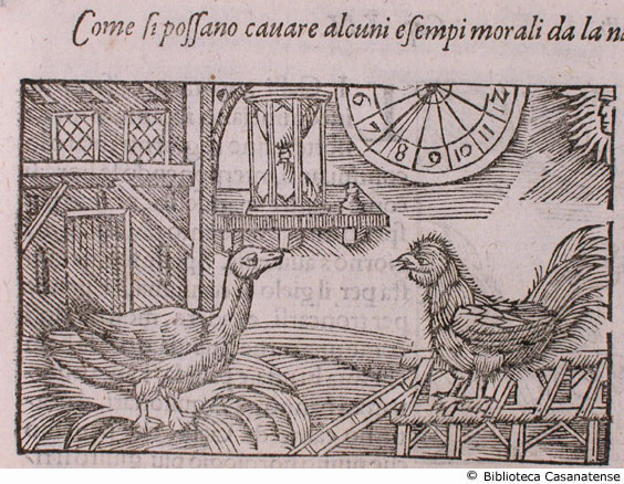 come si possano cavare alcuni esempi morali da la natura de l'ocha [animali da cortile, clessidra e meridiana], c. 233