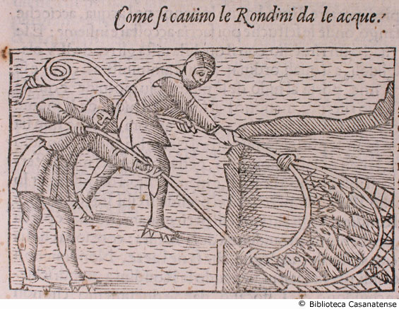 come si cavino le rondini da le acque, c. 240 (seconda figura)