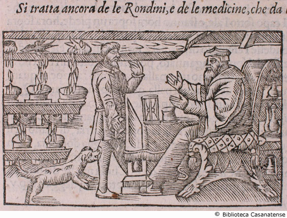 si tratta ancora de le rondini, e de le medicine, che da loro si cavano, c. 240v.