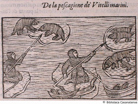 de la pescagione de' Vitelli marini, c. 251