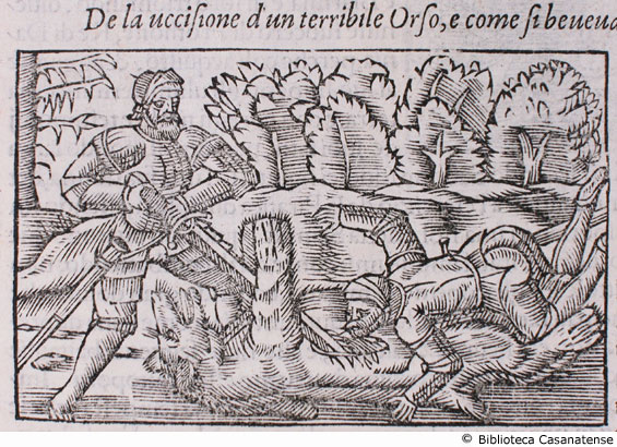 de la uccisione d'un terribile orso e di come si beveva il suo sangue, c. 65 v.