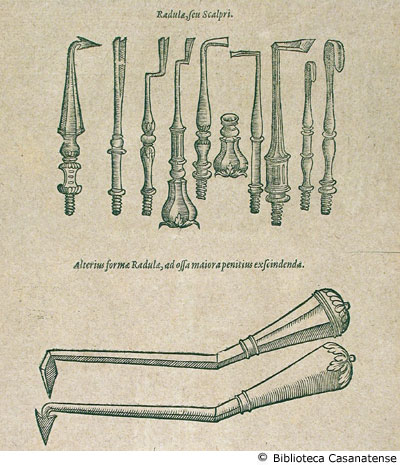 radula, seu scalpri (scalpelli per incidere le ossa), p. 201