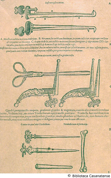 Rostrum psitacinum (figura A); Rostrum olorinum, cum rostro gruino recto (figure B e C); Canna in qua latet Terebellum (figura D); Terebellorum deformatio (figura E);(strumenti chirurgici III), p. 252