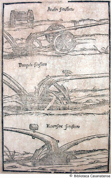 Tav. 2 - Tipologie di aratri.