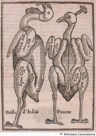 Descrizione dei tagli di carne di un pavone e di un gallo, p. 10