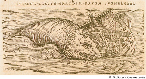 balaena erecta grandem navem submergens (nave attaccata da una balena), p. 138 (prima figura)