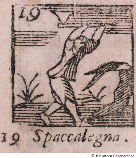 n. 19 - Spaccalegna, p. 106