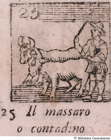 n. 25 - Il massaro o contadino, p. 107