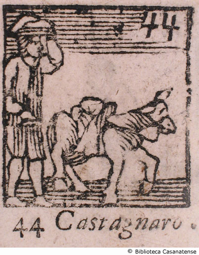 n. 44 - Castagnaro, p. 110
