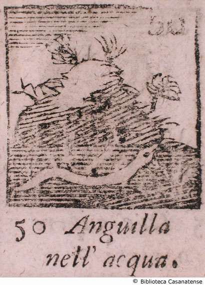 n. 50 - Anguilla nell'acqua, p. 111
