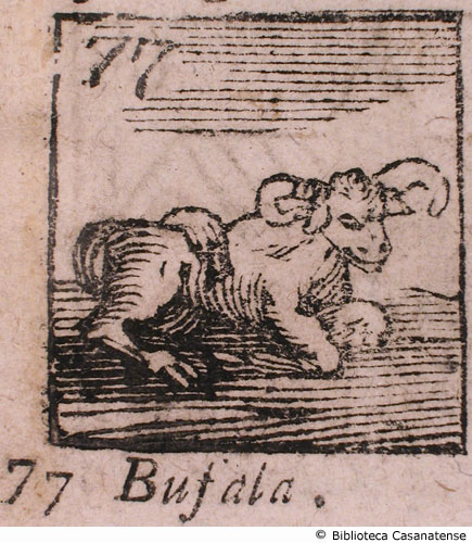n. 77 - Bufala, p. 115