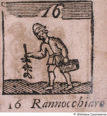 n. 16 - Rannocchiaro, p. 155