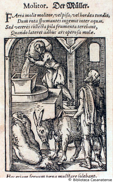 molitor  (mugnaio), c. 40