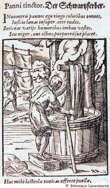panni tinctor (tintore di stoffe), c. 49