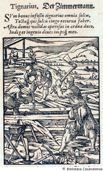 tignarius (fabbricanti di travi e assi), c. 88