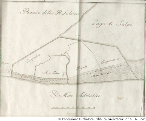 Pianta della R. Salena. Tav. V, In appendice.