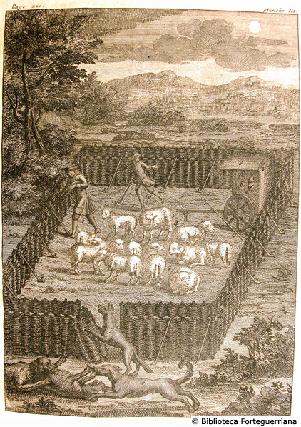 Tav. III - Recinto delle pecore attaccato dei lupi, p. 210 (Aut.: J.B.Scotin)