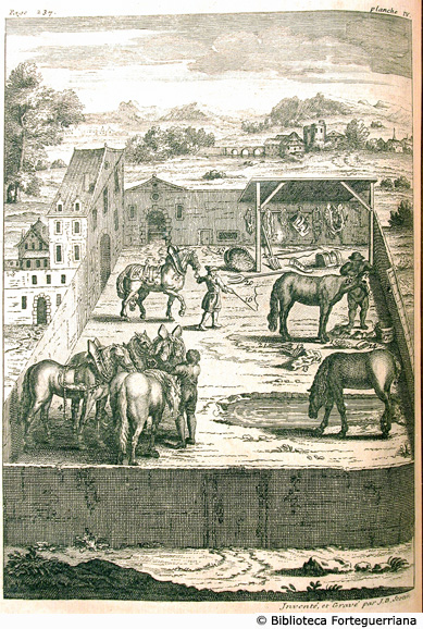 Tav IV - Scuderia con cavalli e stallieri, p. 237 (Aut.: J.B. Scotin)