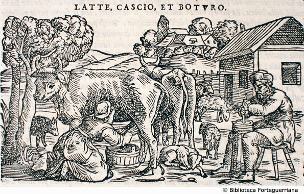 Latte, cascio et boturo (Mungitura e produzione del burro), p. 287