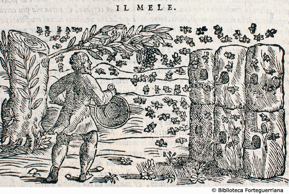 Il miele, p.300