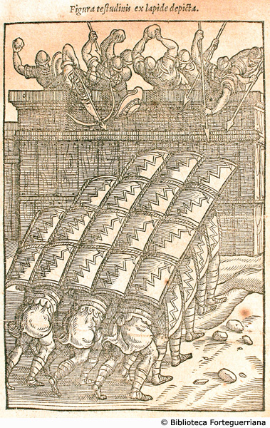Testuggine dipinta da una lapide, p. 133 (1 pt.)