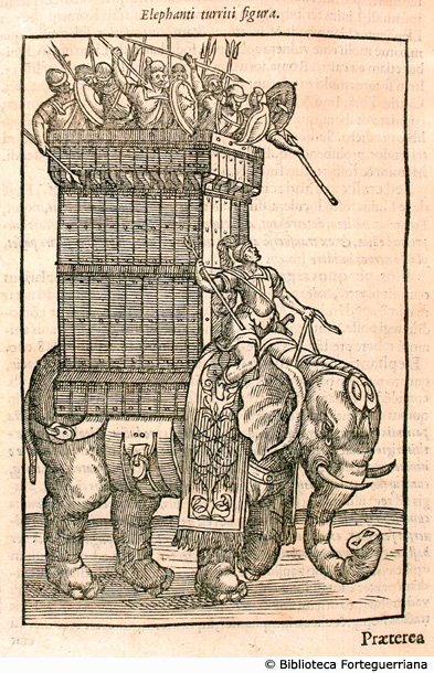 Elefante con torre, p. 272 (2 pt.)
