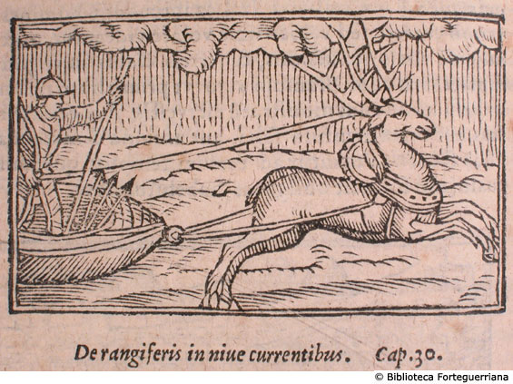 De rangeris in nive currentibus, c. 113v
