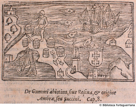 De gummi abietino, sive resina, et origine ambrae, seu succini, c. 118v