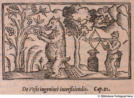 De ursis ingeniose interficiendis (caccia all'orso), c. 144