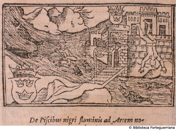 De piscibus nigri fluminis ad Arcem novam in Finlandia, c. 170