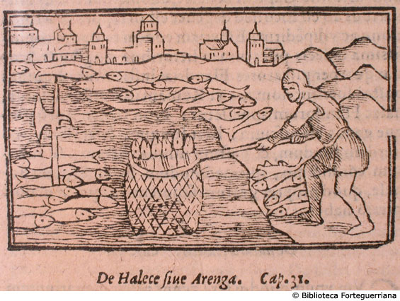 De Halece sive Arenga, c. 172