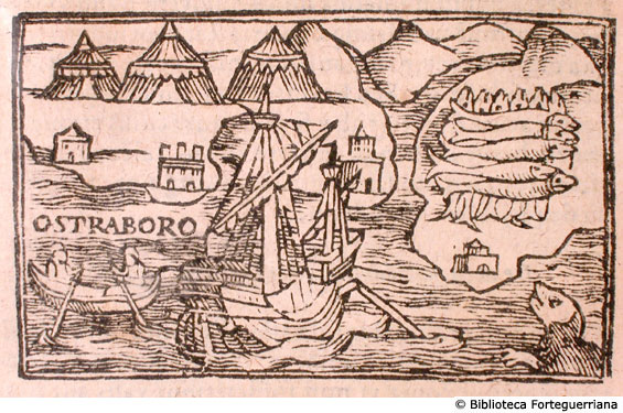 De piscibus Islandiae, c. 176