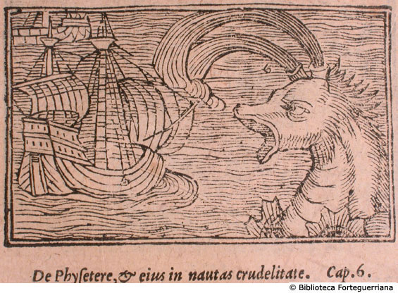 De Physetere et eius in nautas crudelitate,  (fig. 1)