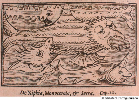 De Xiphia, Monocerote, et Serra, c. 179v
