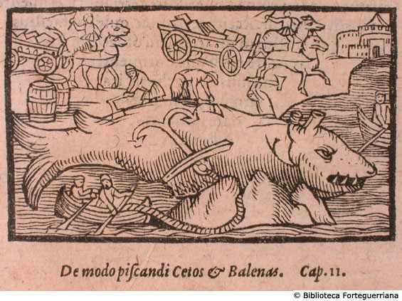 De modo piscandi Cetos et Balenas, c. 180