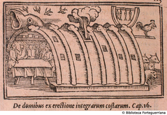 De domibus ex erectione integrarum costarum, c. 183