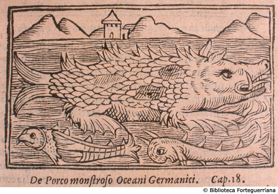 De porco monstroso Oceani Germanici, c. 183v