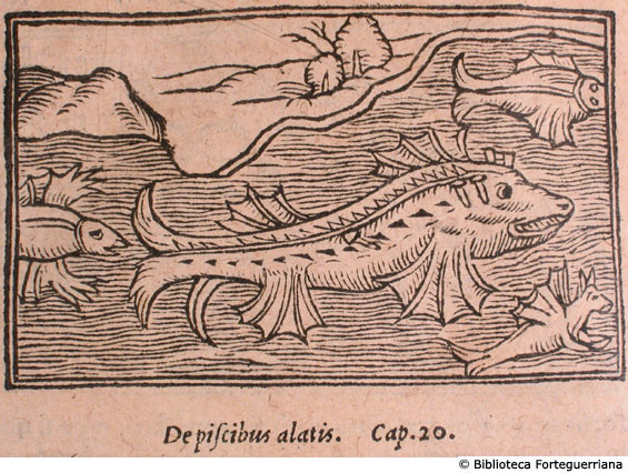 De piscibus alatis, c. 184v