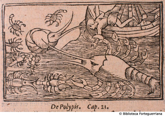 De Polypis, c. 185