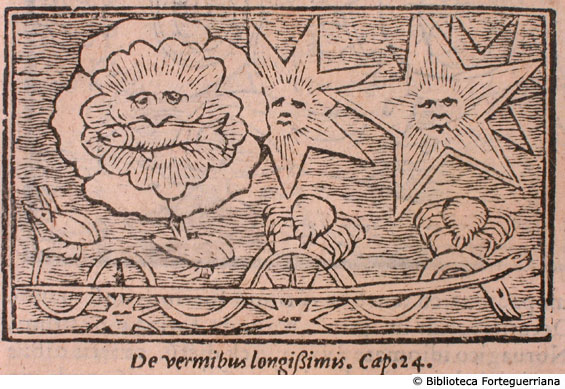 De vermibus longissimis, c. 186
