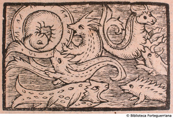 De pisce, quem Norvegiani Suuamsisck appellant, et aliis quibusdam monstris marinis, c. 186v