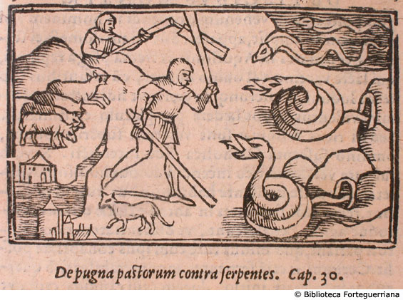 De pugna pastorum contra serpentes, c. 189