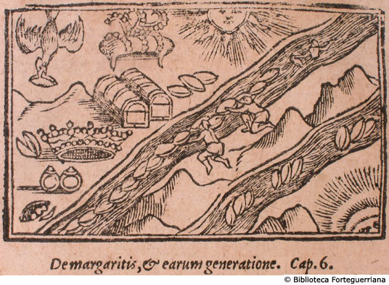 De Margaritis, et eaurum generatione, c. 198