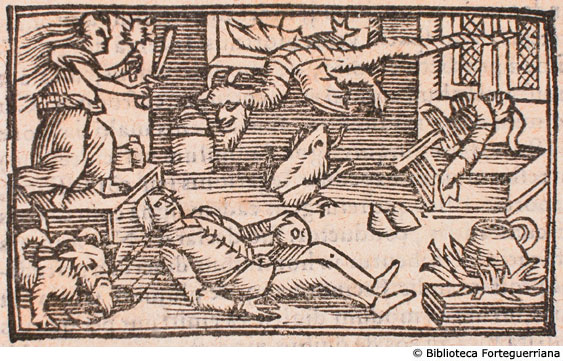 De magis instrumnetis Bothniae, c. 39