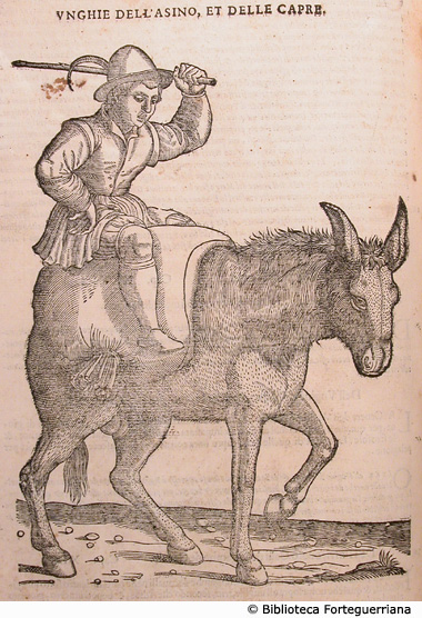 Unghie dell'asino et delle capre, p. 368