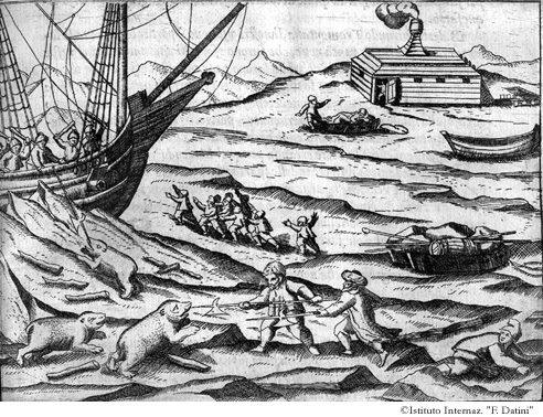 Disegno come mentre eravamo occupati à tirar robbe da la nave alla casa, sendo assaltati da tre Orsi, parte fuggì alla nave, parte restò al carro, difendendosi con le allabarde, p. 39