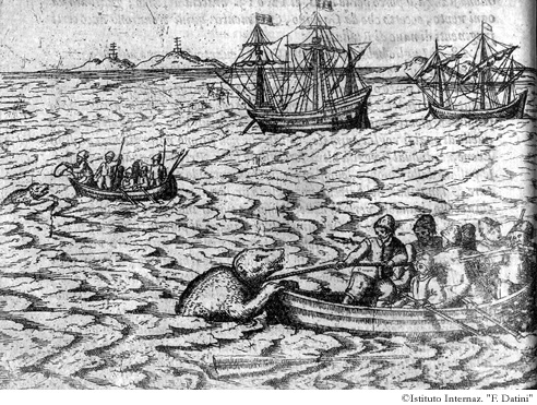 Disegno dell'Isola di Guglielmo, dell'Isola della croce, della rocca dell'Orso, ove un Orso bianco mmostrò maravigliose forze e ardire, p. 5v