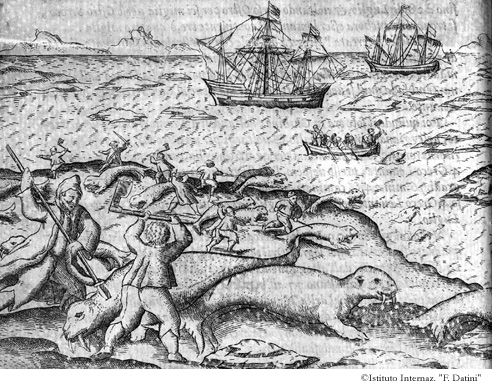Effigie ò ritratto de' Rosmari mostri marini molto gagliardi e fieri, p. 8v